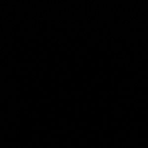 Meet your Posher, Dee